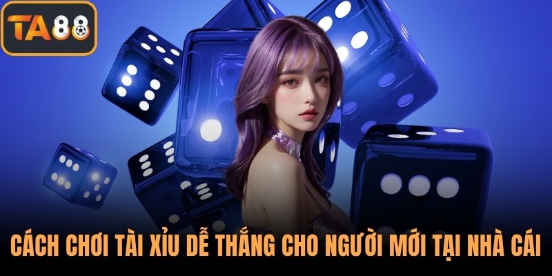 Cách Chơi Tài Xỉu Dễ Thắng Cho Người Mới Tại Nhà Cái TA88