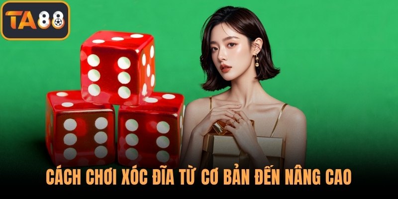 Cách Chơi Xóc Đĩa Từ Cơ Bản Đến Nâng Cao Cho Tân Binh 2025